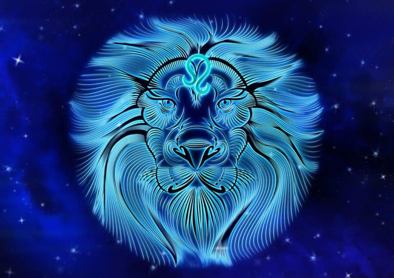star sign, lion, horoscope-4374408.jpg